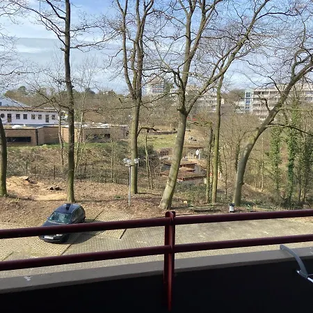 App B210 Gemuetlich Und Ruhig Lahnstein